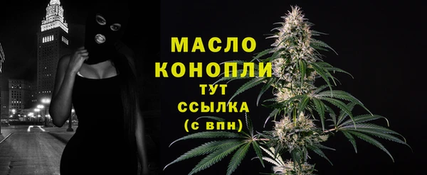 винт Горняк